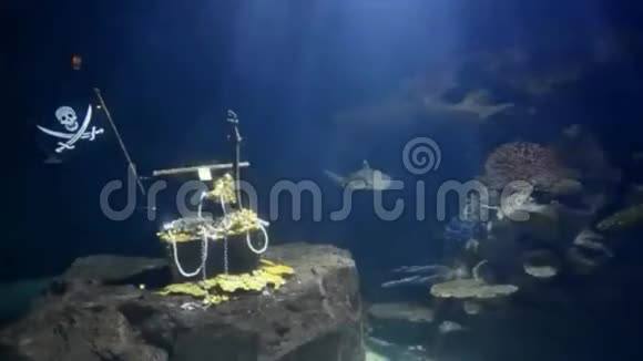 大型水族馆模拟海底和鲨鱼游泳视频的预览图