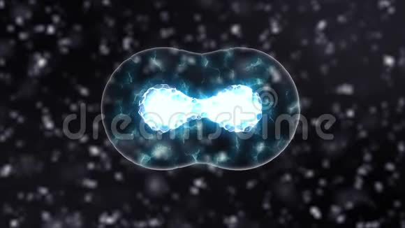 细胞分裂微生物学显微镜下有蓝血细胞或霓虹细菌科普背景4K视频的预览图