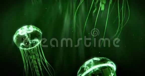 水母在4k环游泳x28蓝x29视频的预览图