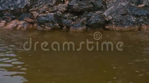 水滴喷泉雨水水坑里的水视频的预览图