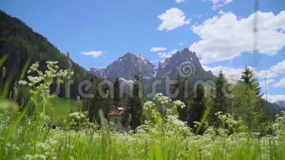 美丽的高山草地视频的预览图