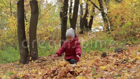 幼儿在公园里玩秋叶视频的预览图