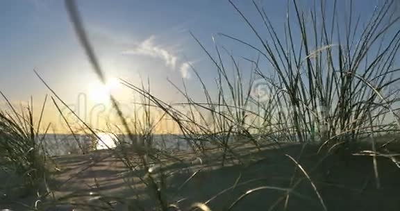 阳光明媚的海滩有沙丘和蓝天视频的预览图