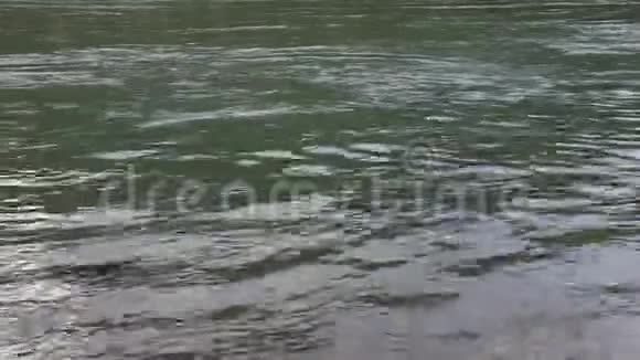 卡屯河自然背景阿尔泰俄罗斯视频的预览图