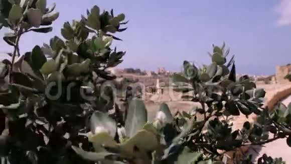 马耳他景观戈佐马耳他视频的预览图