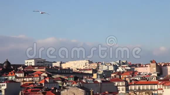 葡萄牙波尔图市与克莱里戈斯塔的天际线视频的预览图