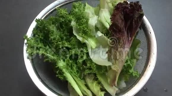 绿色沙拉蔬菜视频的预览图