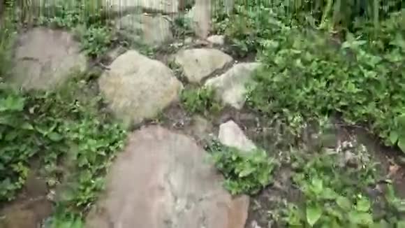 小径小径砖块地面步行视频的预览图