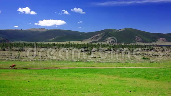 蒙古风景中的人骑马视频的预览图