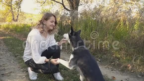 有狗种哈士奇的女孩视频的预览图