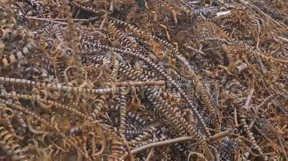 锈金属纹理刨花山地植物背景废料视频的预览图