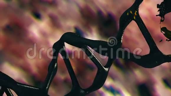 深棕色的DNA螺旋视频的预览图