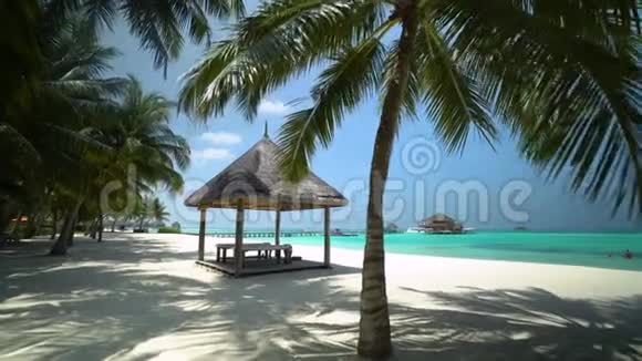 马尔代夫岛的沙滩视频的预览图