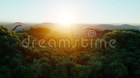 山野外景观带恐龙棕榈树空中观景丛林现实的4k动画视频的预览图