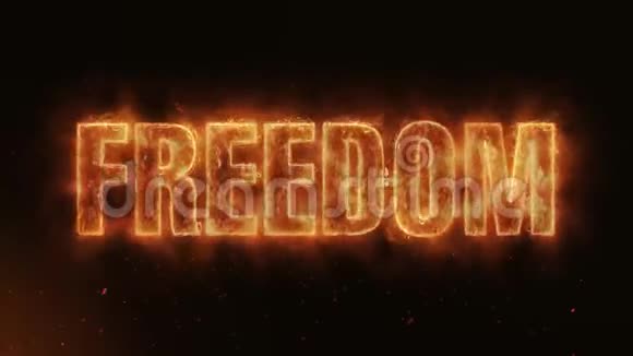 自由词汇燃烧现实火火焰火花连续无缝LOO视频的预览图