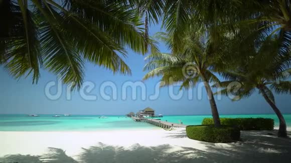 马尔代夫岛的沙滩视频的预览图