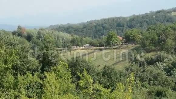 美丽的乡村景观森林和牧场视频的预览图