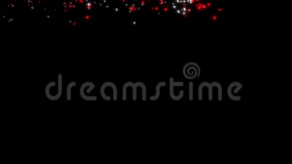 许多小胖的银红六枝星雨视频的预览图