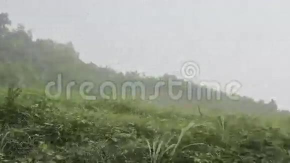 雾中青山的美丽景色视频的预览图