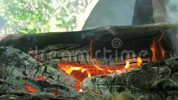 篝火在森林的帐篷和原木中燃烧视频的预览图