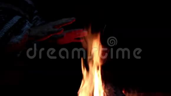 篝火晚会黑暗背景上的巨大火焰冷杉的声音火的声音巨大的冷杉火力特写视频的预览图
