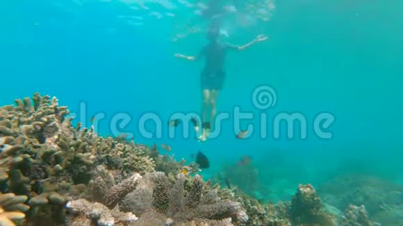 年轻人带着五颜六色的鱼和海洋生物在深蓝色的海洋中探索水下珊瑚礁景观视频的预览图