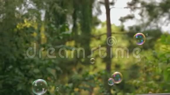在公园里泡泡泡视频的预览图
