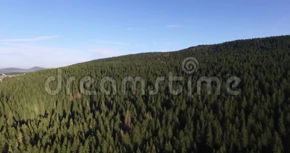 黑山黑湖附近云杉林的鸟瞰图视频的预览图