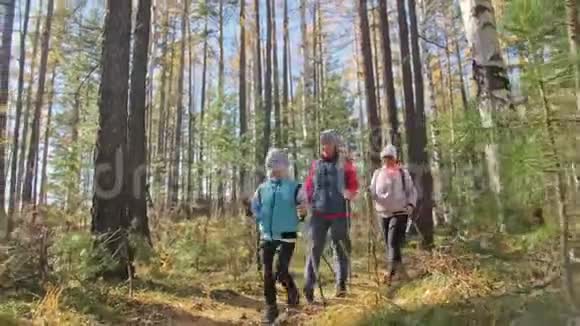 女人在大自然中行走北欧女孩和孩子使用跋涉棒和北欧杆背包家庭旅行视频的预览图