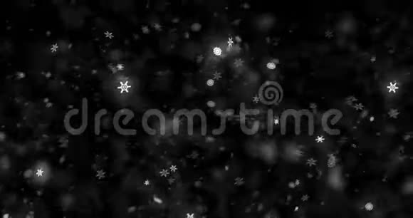 圣诞黑幕背景雪花从顶部飘落的雪假日雪圣诞活动视频的预览图