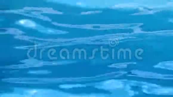 池中蓝色地表水视频的预览图