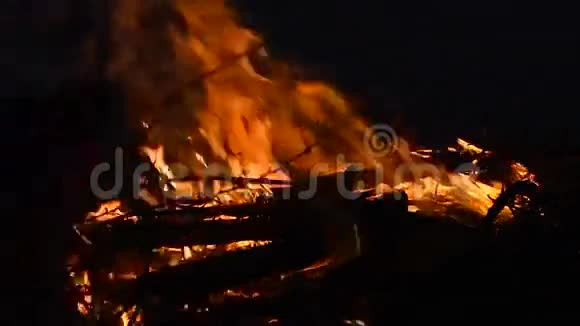 篝火与燃烧的木头和树枝在夜间视频的预览图