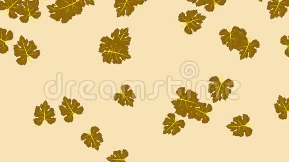 用棕色秋天的枫叶做动画视频的预览图