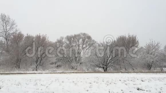 下雪了大块的雪花慢慢地飘落下来视频的预览图