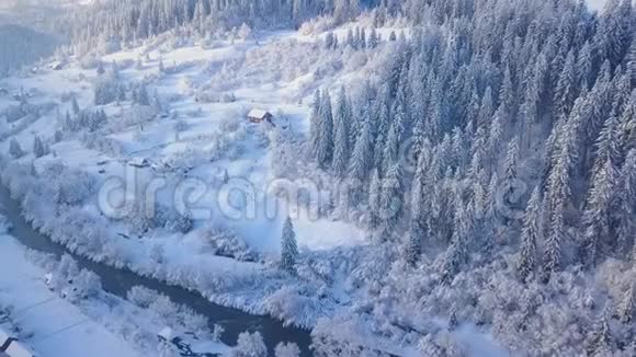 飞越雪山针叶林晴朗晴朗的霜冻天气视频的预览图