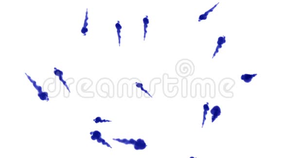 大量孤立的蓝色墨水注入蓝色大量流动的孤立的蓝色墨水注入水中的色滴视频的预览图