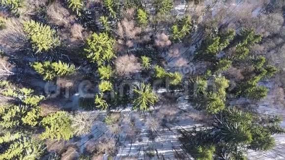云杉和桦树的冬林空中景象视频的预览图