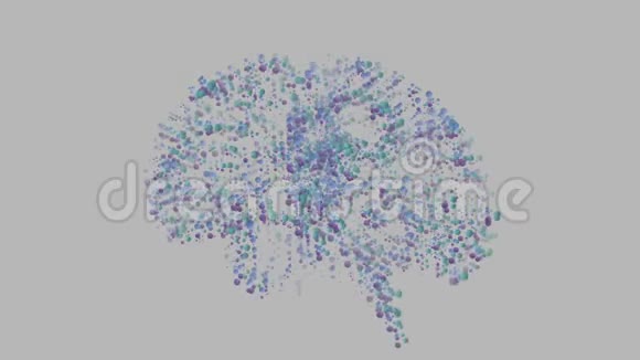 旋转粒子形成的人脑视频的预览图