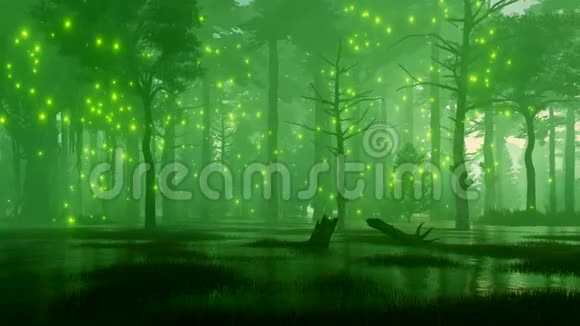 有神秘萤火虫灯4K的沼泽夜森林视频的预览图