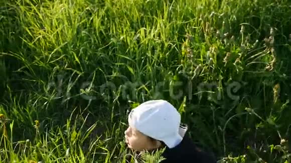 夏天小男孩和蒲公英站在绿色的田野里视频的预览图