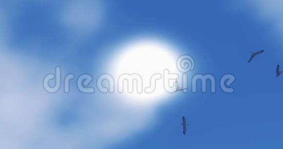 海鸥飞越阳光阳光和云天堂的场景视频的预览图