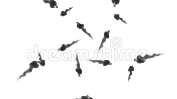 大量的流动形成环墨水注入是孤立的白色在缓慢的运动水中的黑色颜料云英奇视频的预览图