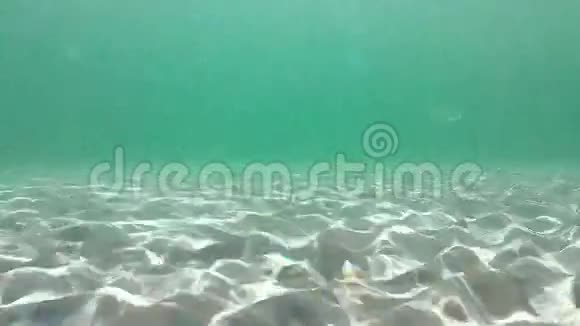 水下反射视频的预览图