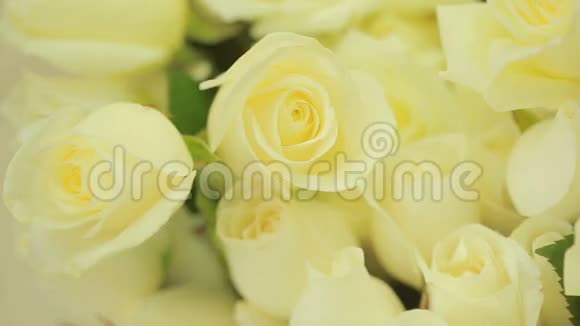 鲜艳的白色玫瑰花束特写视频的预览图