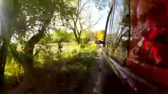 汽车在森林深处穿过乡村视频的预览图