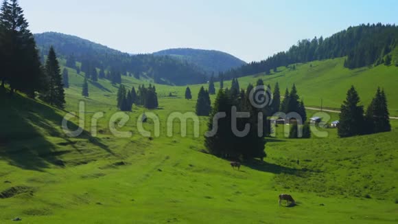罗马尼亚阿普塞尼佐纳帕迪斯山视频的预览图