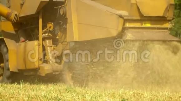 一大块地上的麦穗联合收割机收割庄稼农业视频的预览图