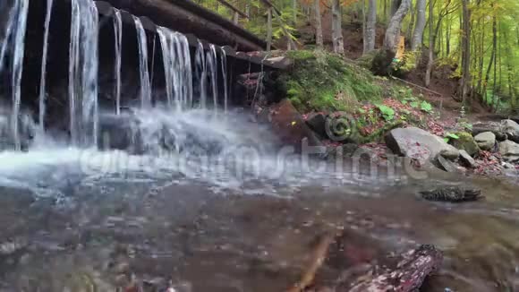 秋天山溪里的清水视频的预览图