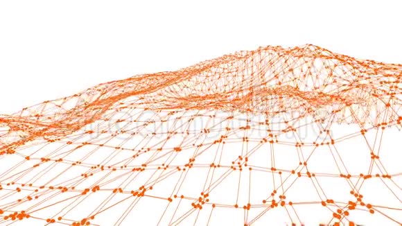 抽象干净的橙色挥动三维网格或网格作为精细的背景橙色几何振动环境或脉动视频的预览图