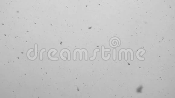 降雪慢动作背景视频的预览图